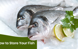 Two fish on ice with parsley and a slice of lemon and lime. text: How to Store Your Fish