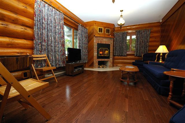 Hastings cabin living room