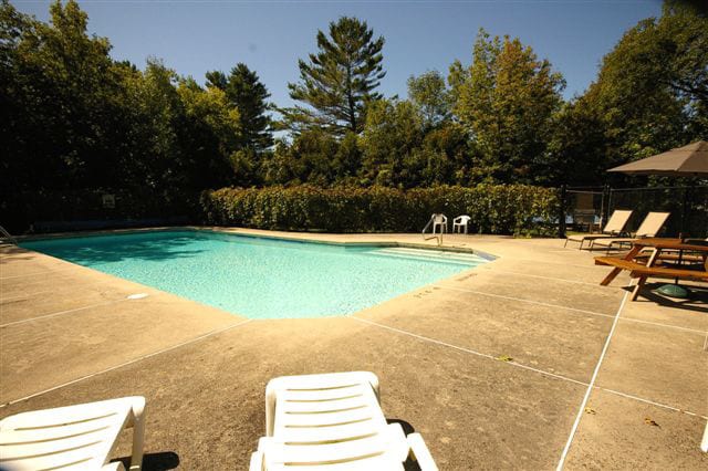 Outdoor pool and lounge chairs