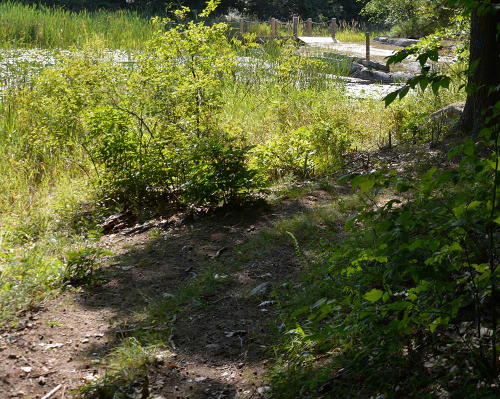 Hiking-Trail-Web-10