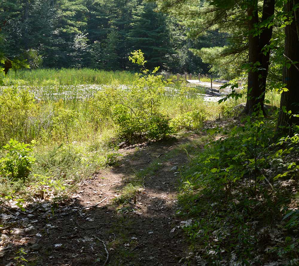 Hiking-Trail-Web-11