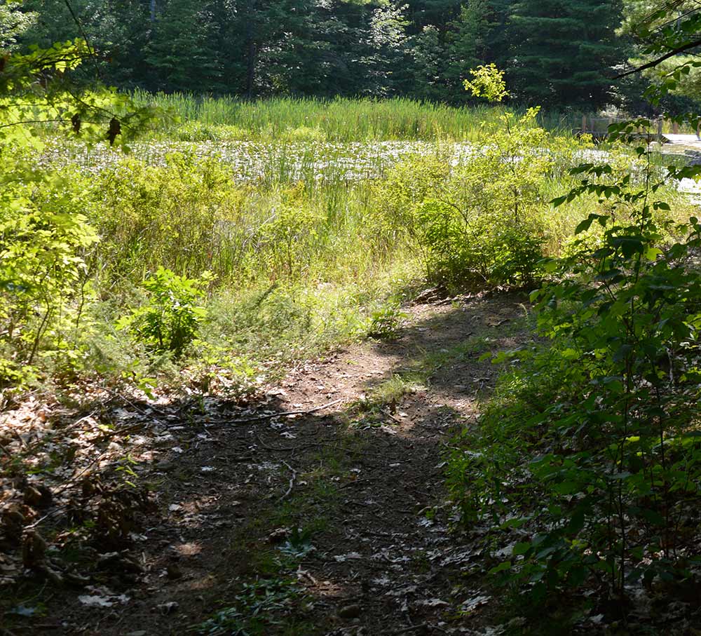 Hiking-Trail-Web-12