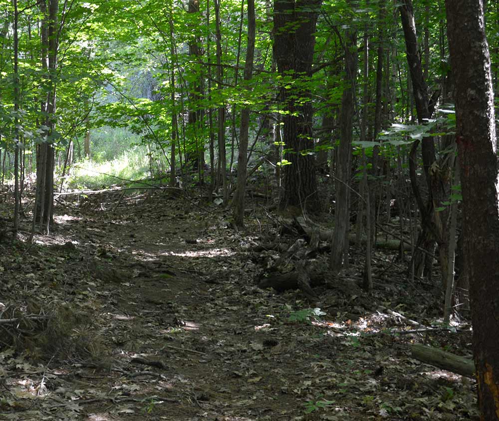 Hiking-Trail-Web-14