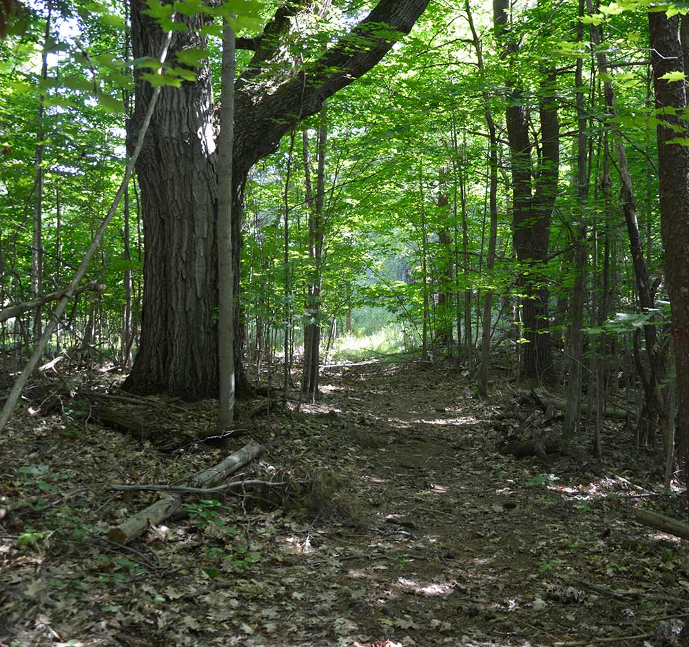 Hiking-Trail-Web-16