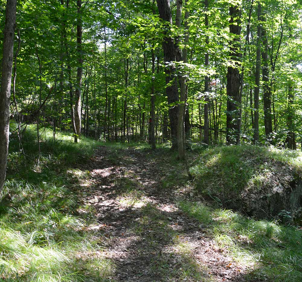 Hiking-Trail-Web-3