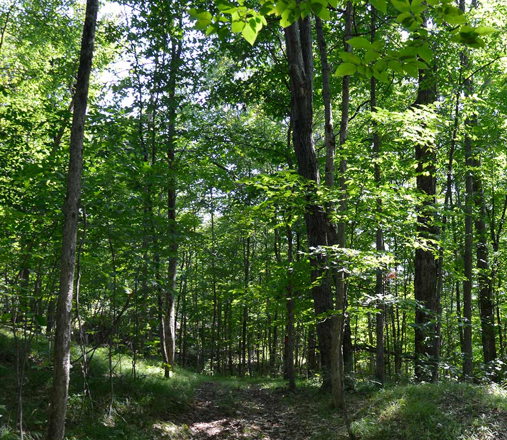 Hiking-Trail-Web-5