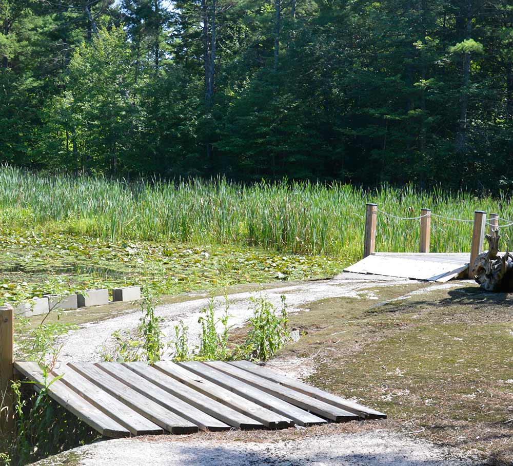 Hiking-Trail-Web-6