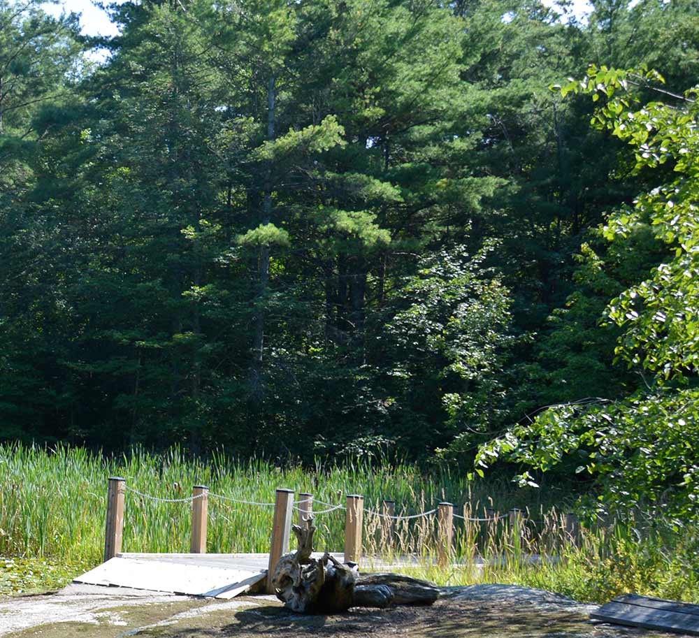 Hiking-Trail-Web-7