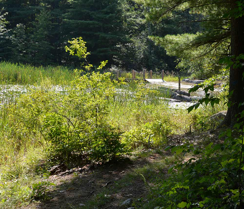 Hiking-Trail-Web-9